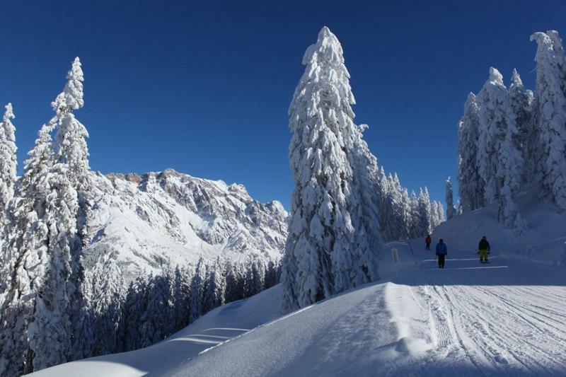 Am Berg 34 Apartment Maria Alm am Steinernen Meer Luaran gambar